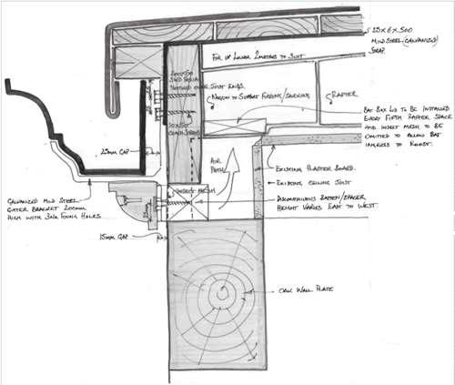 Hand-drawn diagram showing bat hotel, gutter and oak wall plate in section