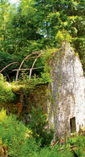 Overgrown gable wall with remains of the semi-circular iron roof trusses also visible