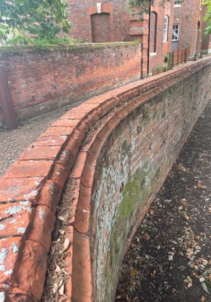 A brick wall capped with two courses of specially moulded bricks