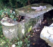 Partially buried chest tomb with broken lid and woody growth emerging from within