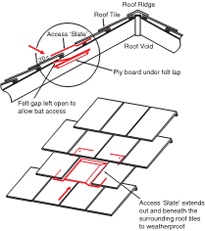 Bat access slate diagram showing construction and location in slated roof