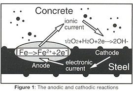 Fig 1: The anodic-cathodic reactions