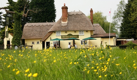 Thatched rural pub with field of long grass and buttercups in foreground