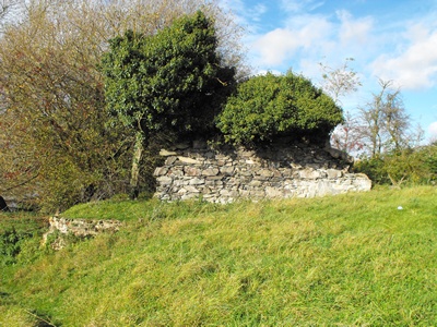 Ruined rubble stone wall covered by tree and shrub growth