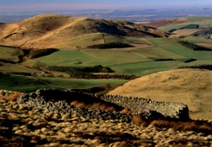 Partially ruined circular dry-stone sheep enclosure set in rolling pastureland