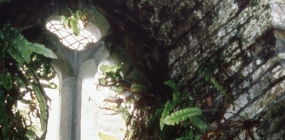 Close-up of a timber-framed gable in Port Sunlight