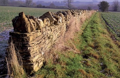 Wall end between fields with distinct taper towards apex and copestones laid on end