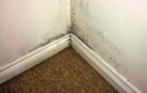 Dark, mottled area of damp and mould close to floor level in the corner of a room