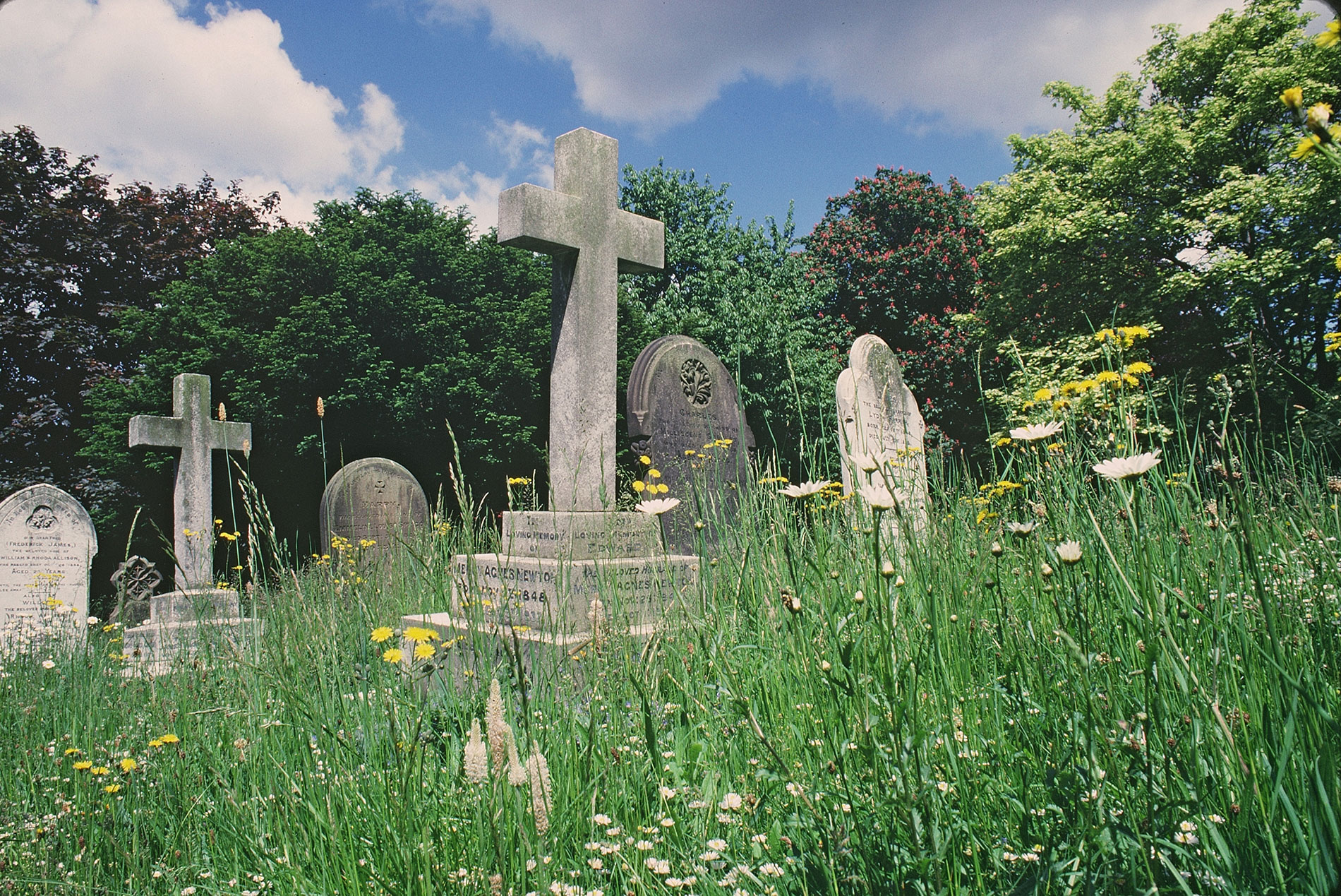 Plan of Birkenhead Park (Photo: Alexandre Gravis, CC by SA 4.0)
