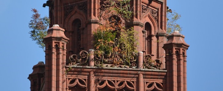 Detail of an ornate terracotta tower with several large plants growing from it