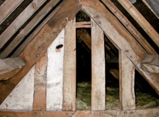Waney-edged roof timbers