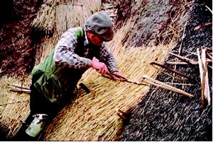 Thatching with 'Long Straw