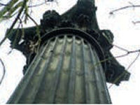 Sulphate deposition on the Duke of Argyll Monument
