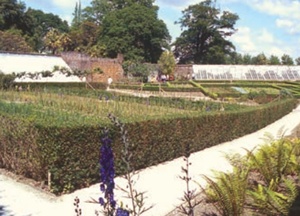 Walled garden with plantings surrounded by low hedges