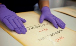 Close-up of a conservator's gloved hands rubbing a fine cleaning powder over the surface of a page