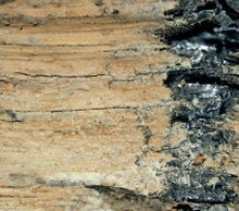 Timber surface with most of the paint removed by sandblasting