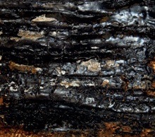 Close-up of black gloss on timber surface