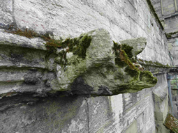 Badly eroded gargoyle with moss-like biological growth across much of remaining surface