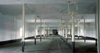 Cast iron columns populate the vast empty space of Ditherington Mill