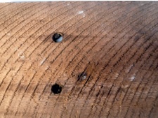 Circular sawn surface with evenly spaced curved saw marks
