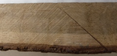 See sawn timber surface