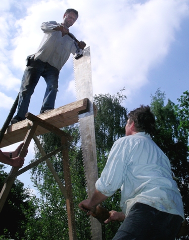 Timber supported on trestles is sawn from end to end with one sawyer standing on the timber and one underneath it