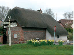 House with deep thatch