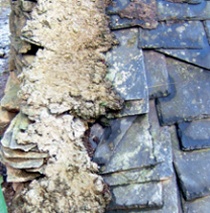 Crudely mortared junction of slate courses and stone gable wall